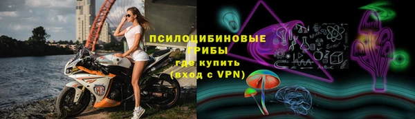 дурь Алзамай