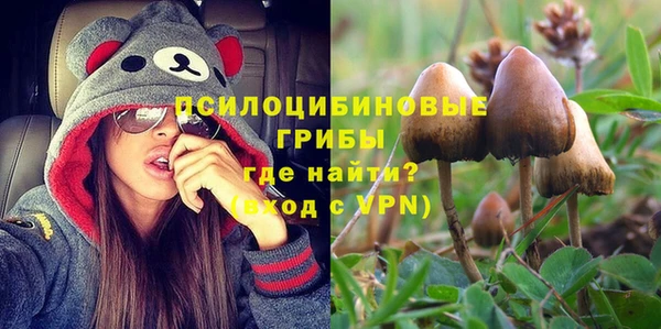 мдпв Алексеевка