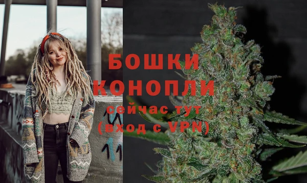 дурь Алзамай