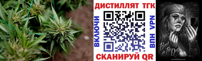 ТГК концентрат  закладка  Тейково 