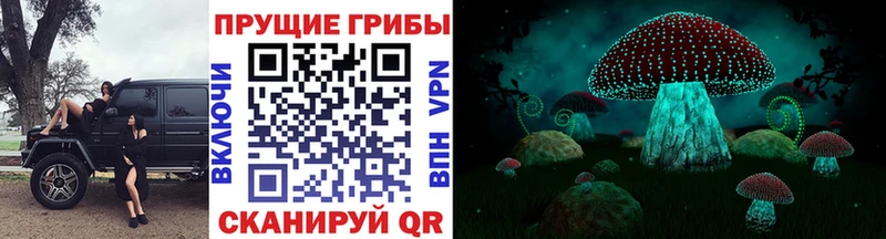 где купить наркотик  Тейково  Галлюциногенные грибы прущие грибы 