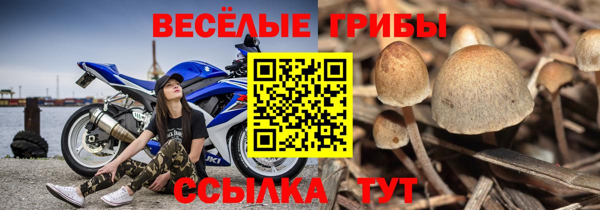 Тейково  дарнет шоп  Вход с VPN  Галлюциногенные грибы Psilocybine cubensis  Галлюциногенные грибы Magic Shrooms 