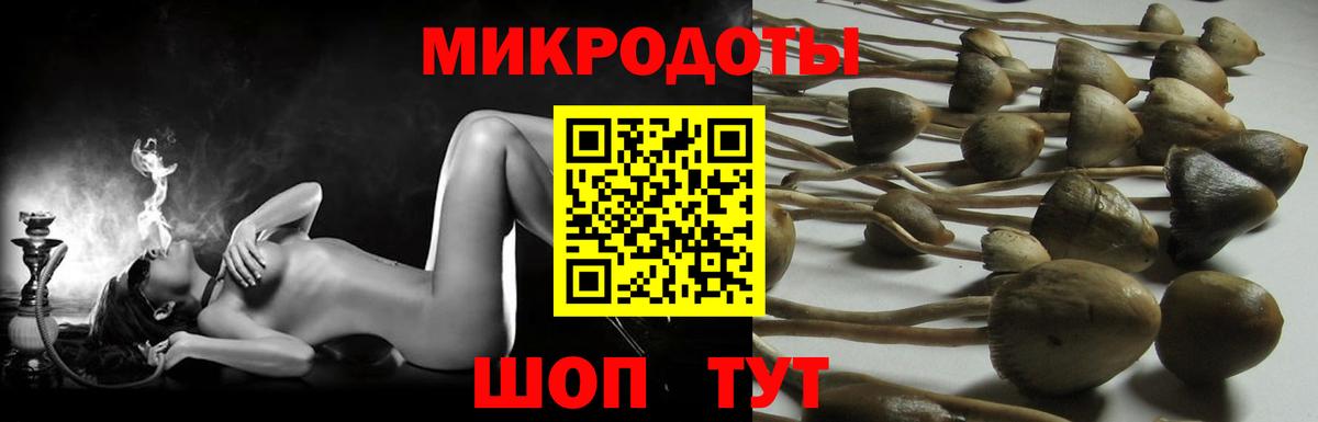 Псилоцибиновые грибы MAGIC MUSHROOMS Тейково